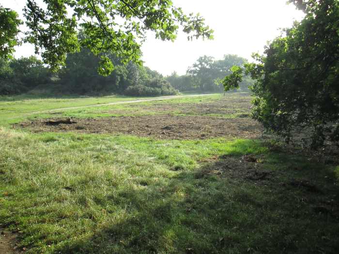 You can take the easy way, follow the pathways and stride onto the open area, breathe in the woodland air - and sit down somewhere quiet with a newspaper, maybe a flask of tea/coffee