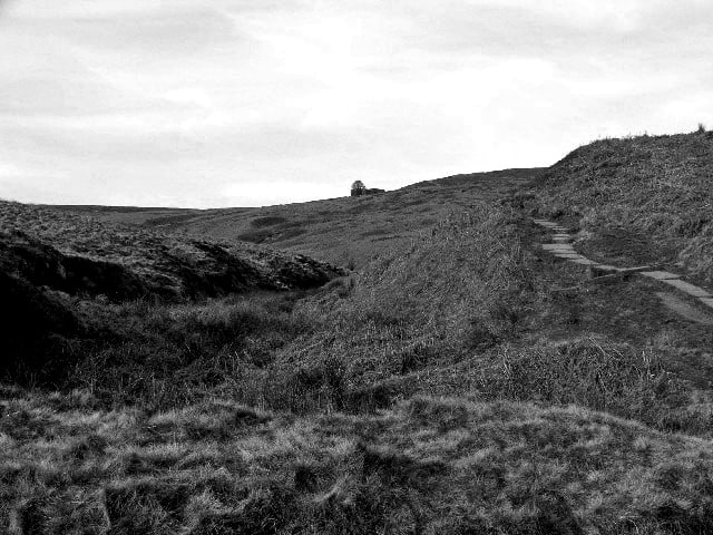 the-humor-in-chapter-three-of-wuthering-heights