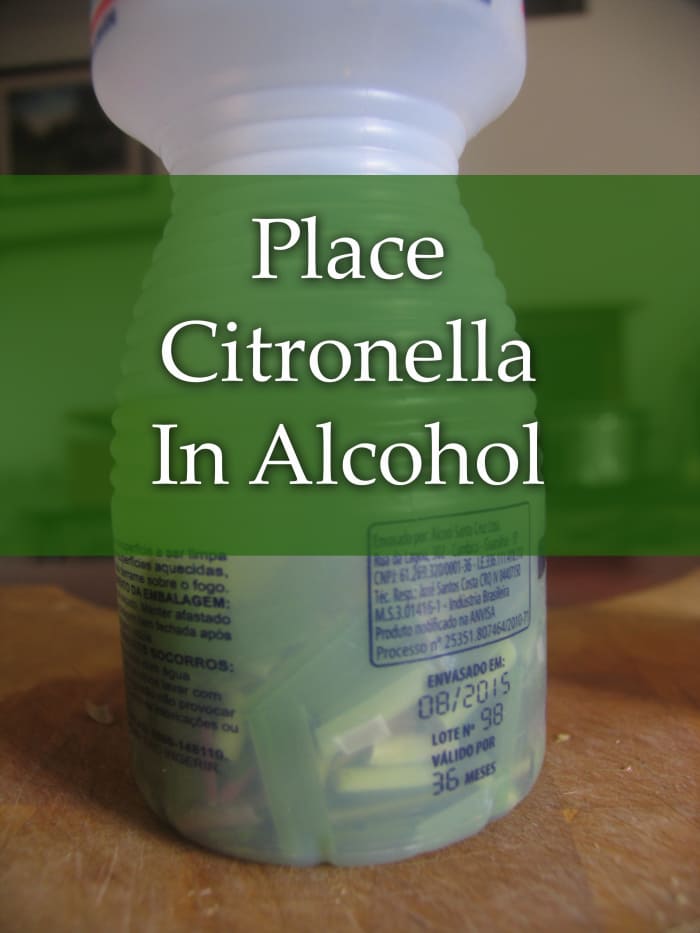 Homemade Mosquito Repellent for Dogs HubPages