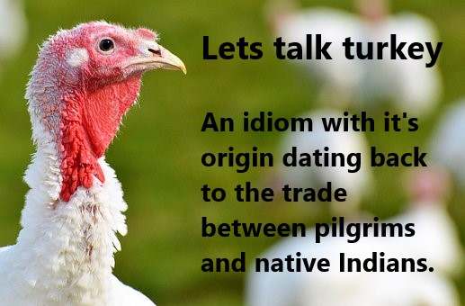 Turkeys are synonymous with the telling of the history of America's pilgrims and their relationship with native Indians.