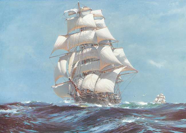 The Ariel tea clipper from Sailing Ships Paintings and Drawings CD-ROM and Book by Carol Belanger Grafton, Dover Publications