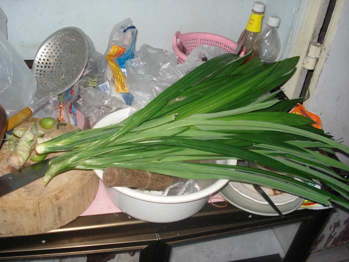 This is the 'Grass' from which the tasty 'Grass Water is made. Boiled for an hour then strained and cooled...delicious!