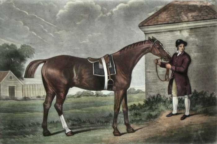 This is one of George Stubbs' many portraits of racehorses, painted at Newmarket, close to the famous English racecourse