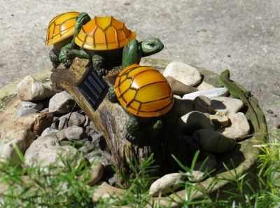 Turtles on Log Solar Light with Lizard Friend Enjoying the Sunny Spot