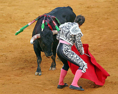 Bull fighting is simply a part of Spanish heritage, it's where young Spaniards realise that death is real and bloody, and the bull doesn't always lose!
