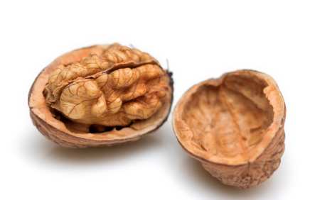Walnuts give this Apricot Slice a special flavor you can vary the type of Nut to your own taste!