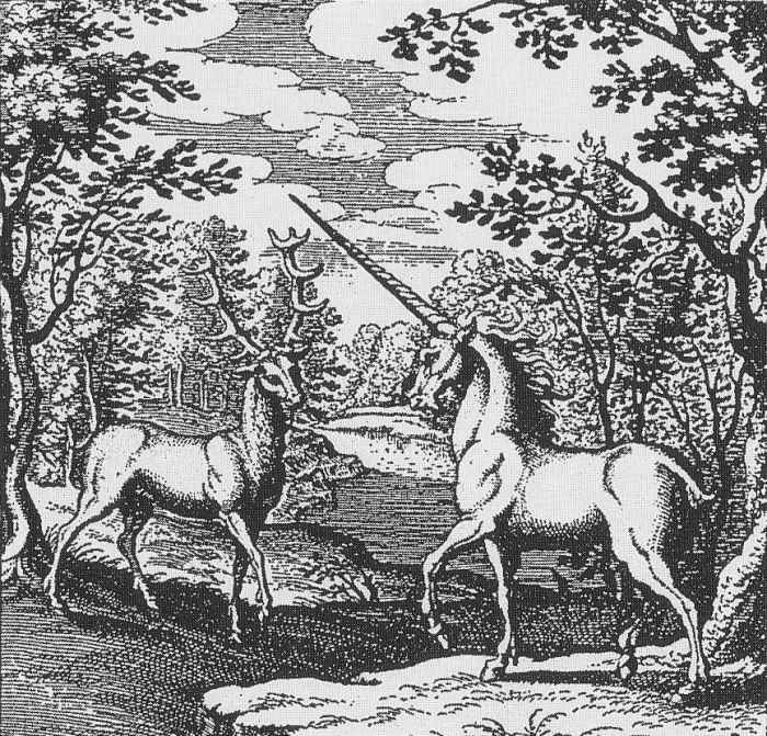 Licorne et cerfRed Deer and Unicorn in a forest - Alchemic engraving - Lambspring, De lapide philosophico figurae et emblemata, figure III, In the Body there is Soul and Spirit; By Lambsprinck - graveur inconnu (Trait alchimique : De Lapide philoso