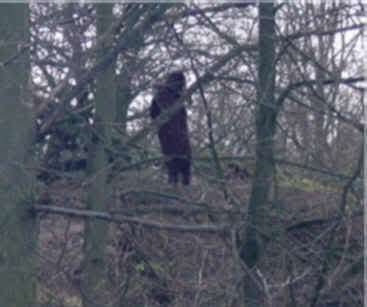 Have you ever saw a shadow person? Do you wonder what shadow people are? Post a comment now in the comment section below.