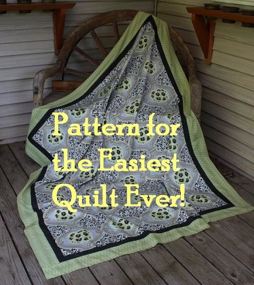 This beautiful Amy Butler fabric makes a great whole cloth quilt. The quilter did add borders to add interest.