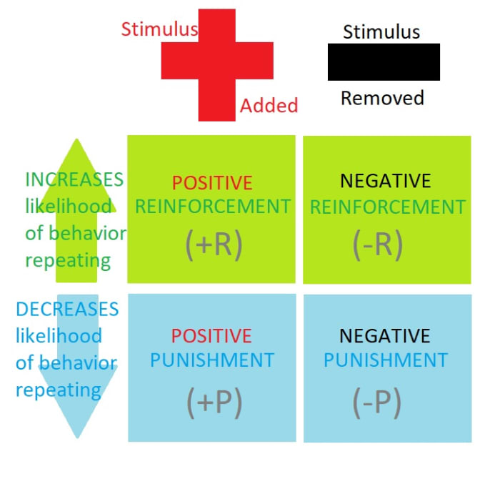 words to describe negative reinforcement examples