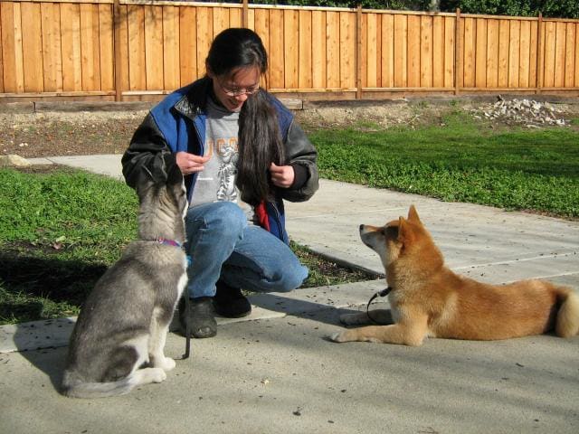 It can be dangerous and detrimental to your dog, to follow techniques that you see on Cesar Millan's show, without first doing thorough research of your own.