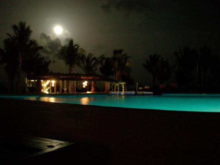 Ceiba del Mar Resort in Mexico: trees of life and pool by moonlight. Notice places and moments that nurture stillness and bring us to our roots in oneness.