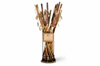 Beautiful walking sticks add to your health as well as your identity and can feel a part of the family.
