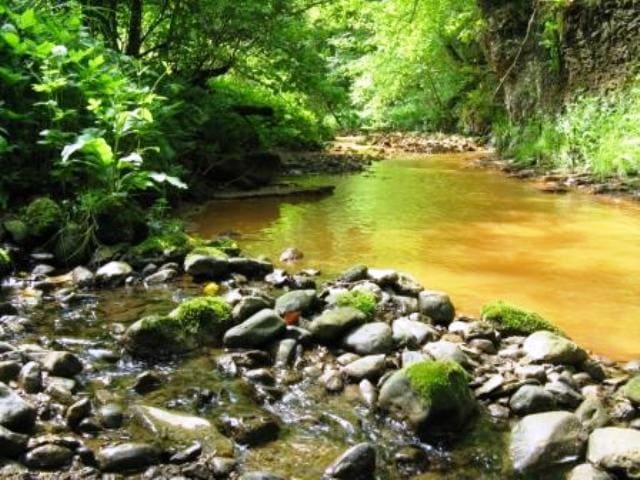 Saltburn Gill, taken by Daniel van den Toorn. Looking for all the world like somewhere in the Burma jungle in WWII, you can see iron deposits in the bed of this watercourse that empties into the North Sea close by the Ship Inn at Old Saltburn