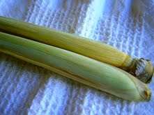 In cooking, usually only the first 3 to 4 inche of the stem from the roots up is used. Sliced thinly or crushed to release fragrance. It is also blended in some curry paste for making curries.