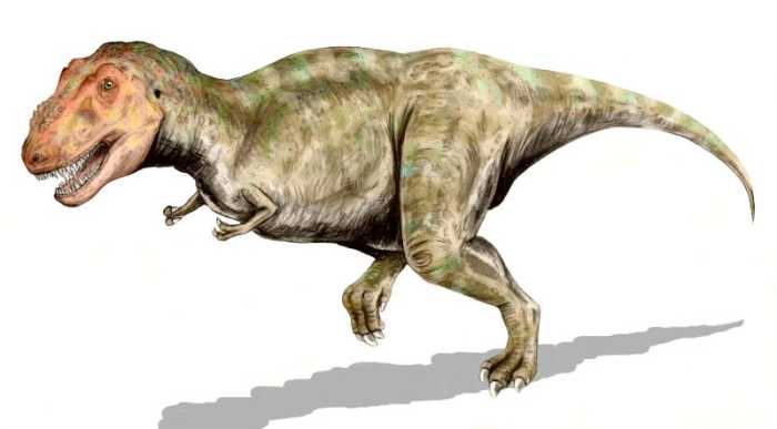 Tyrannosaurus, the most famous dinosaur of them all and the top predator during the Late Cretaceous.