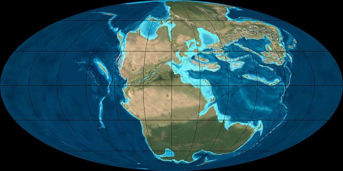 During the early Triassic, all of the Earth's continents were still joined up, forming a supercontinent called Pangea.