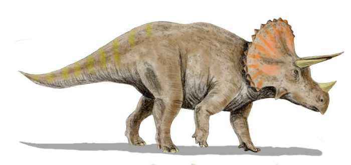 Another famous dinosaur, Triceratops that was very common in North America during the Late Cretaceous.