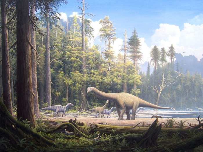 The Jurassic saw Earth transform into a warm and fertile world, full of giant conifers which greatly benefited the giant dinosaurs.