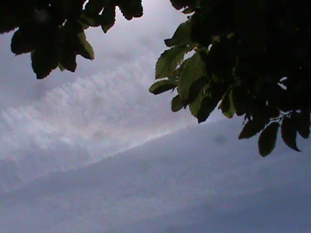 Here we see a photo of the same sun halo through a chemtrail. This is not a chembow, but the same halo as seen above without the chemtrail being present. There is no chembow here.