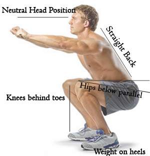 diagram of the proper form of the squat exercise with a man and labels detailing Knees, back and neutral head and weight on heels