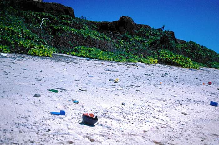 A typical site around the world today. A beach strewn with plastic. This photo was taken on Henderson Island.