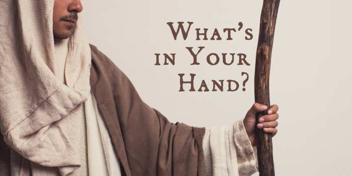 God asked Moses, "What's in your hand?" to prove that he did have something he could use.
