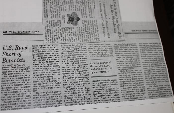 A Rose by Any Other Name Might Just Be a Rhododendron from the August 15, 2018 edition of the Wall Street Journal