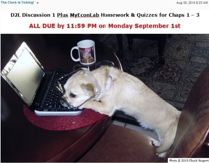 To help keep students motivated and engaged I posted a new picture each week of my dog on the course Homepage under the reminder about the week's assignments. Attendance & completion increased noticably.