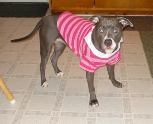 This is a little revealing of Mia in her PINK striped outfit but Whitney says it was OK to reveal...GO MIA!!!! SEXY ON!!