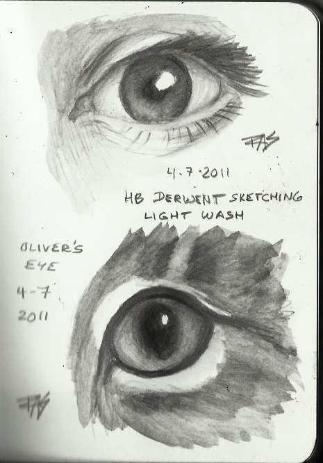 Derwent Graphitints and Derwent Sketching pencils (washable graphite) give a very different, beautiful look when washed.