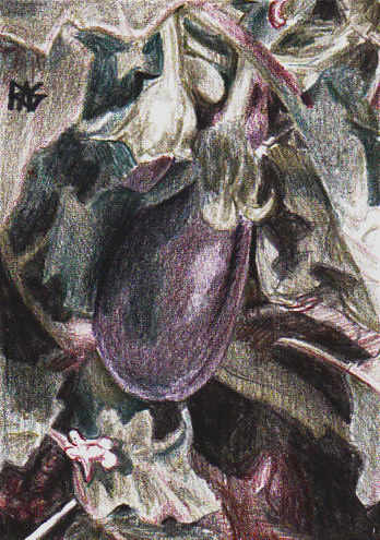 Eggplant on the Vine by Robert A. Sloan, from a photo reference in the Reference Image Library on WetCanvas.com