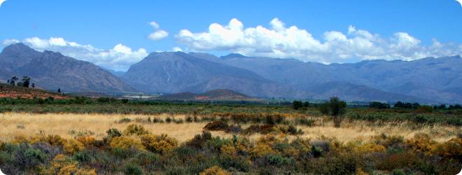 Veldt landscape from the Greater Taung local municipality.