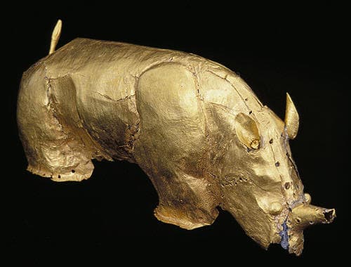 The findings not only provided evidence of early gold smelting in southern Africa, but of the extensive wealth and social differentiation of the people of Mapungubwe. At first Van Graan decided to keep quiet, but later the find was reported at the Un