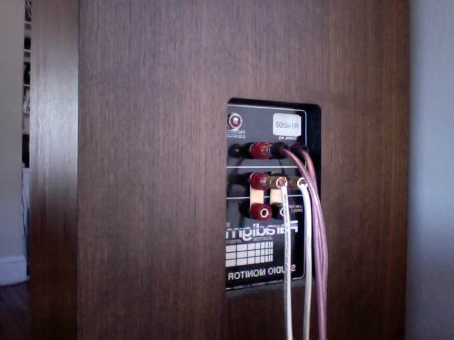 The back of the Paradigm Studio Monitor: a Tri-ampable speaker. Notice it is BI-AMPED for tweeters and mid-low