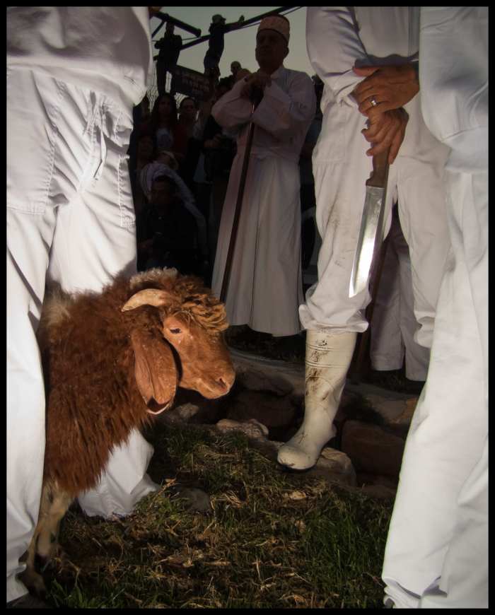 hismercyendures