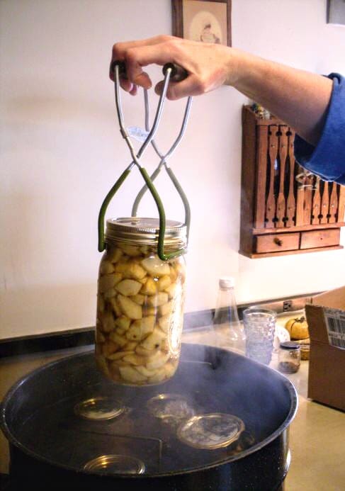 Remove jars to a draft-free area on a board or towel to cool for 12 hours, or until thoroughly cool. Lids will "ping" and seal during this time. Refrigerate any that do not seal properly, and use within a couple weeks.