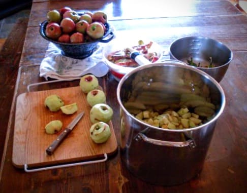 Peel (if desired) and quarter apples for easy slicing. Core them. You may also use a knife or coring gadget to core them beforehand...as long as they are not too wormy, which will mean frequent rinsing of your blades, and spreading of insect goo.