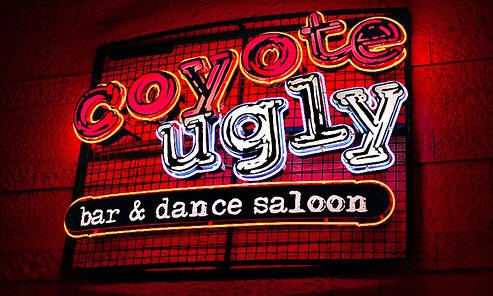 It's as wild as you'd think. Bras fly allover the place after the ladies have had ... enough to drink! Yoohooo!