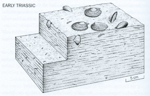 Artist's rendering of ocean life in the early Triassic, shortly after the Permian-Triassic extinction event.