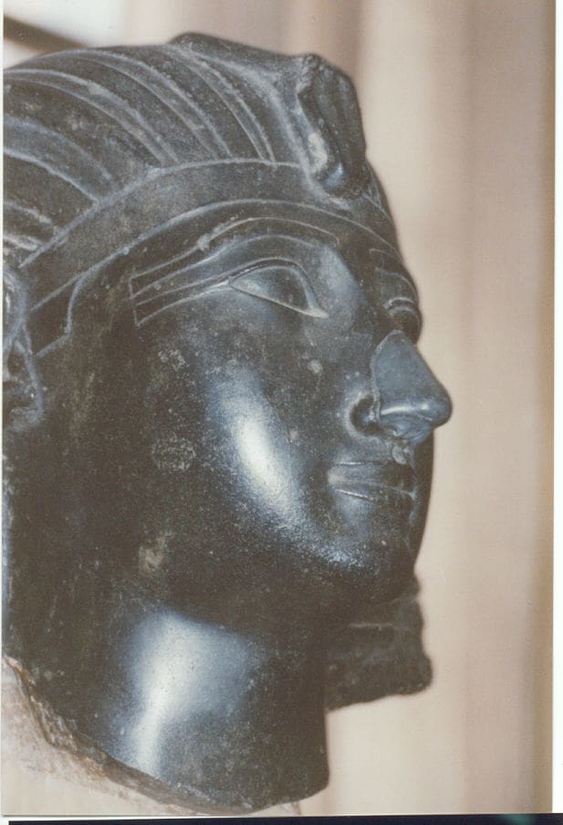 Thutmosis III. Ofiicials of an Italizn Museum decided to give Tutmosis III a new nose in a crude and outrageous attempt to change his racial appearance