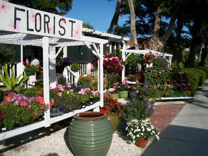 Florist and garden plant center. You can't see here, but around the side is a protected orchid house filled with the most beautiful orchid specimens.