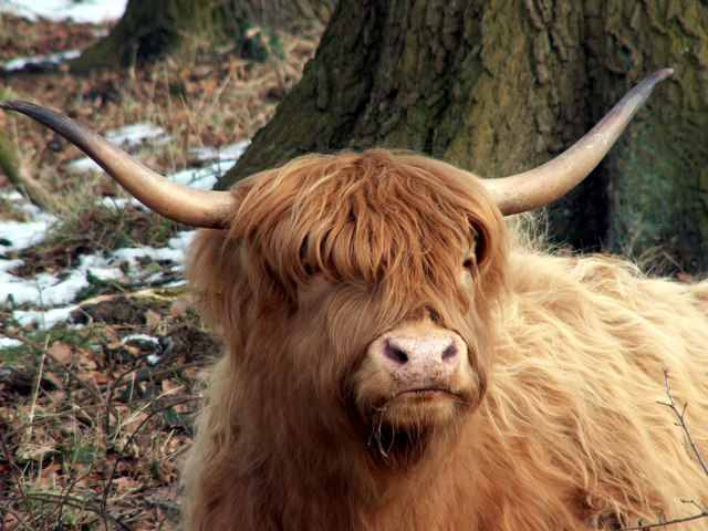 Courtesy John Fielding - http://www.geograph.org.uk/photo/1166750