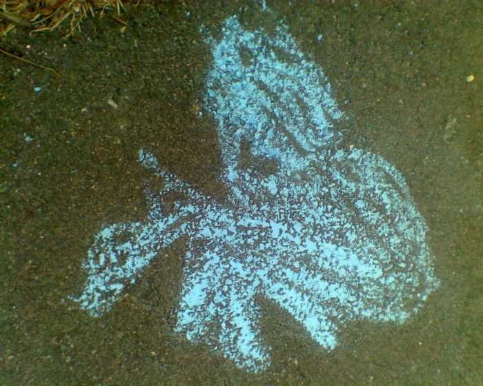 Chalk drawing of an octopus by my daughter ~ one of the many giant "monsters" of the sea the realm of Poseidon.