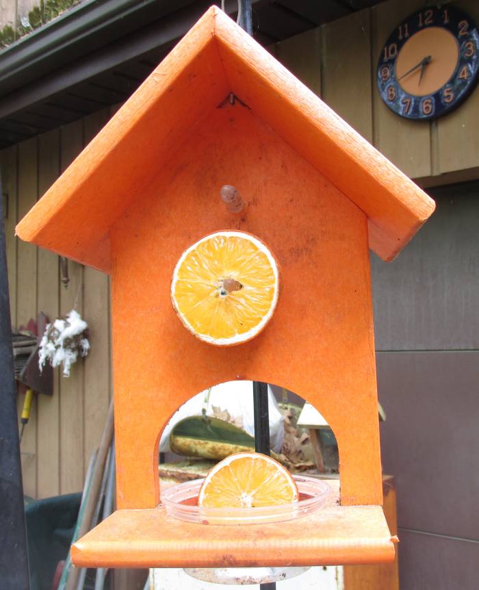 My oriole fruit and jelly feeder has pegs to spear the fruit, and a cup to add jelly or more fruit, and it is 2-sided.