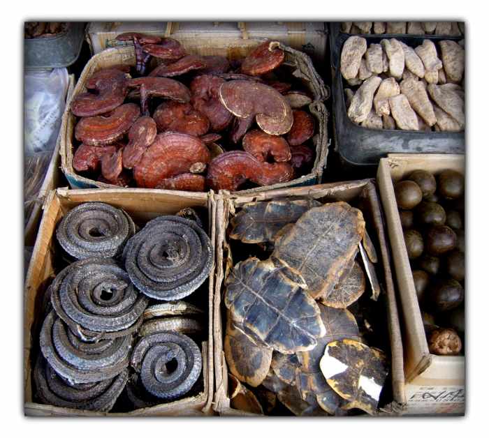 Traditional Chinese medicine in Xi'an market, clockwise from top left corner: dried Lingzhi (lit. "spirit mushrooms"), ginseng, Luo Han Guo, turtle shell underbelly (plastron), and dried curled snakes.
