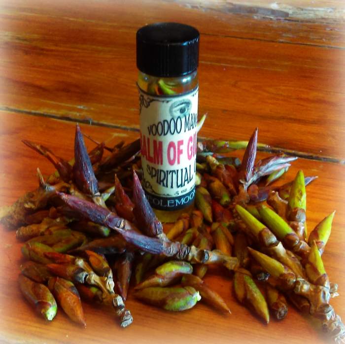 Balm of Gilead Anointing Oil