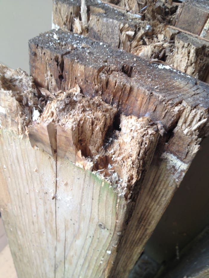 Ends of the cedar stair treads after removing from partially-rotted stringers. Not a safe step to say the least!