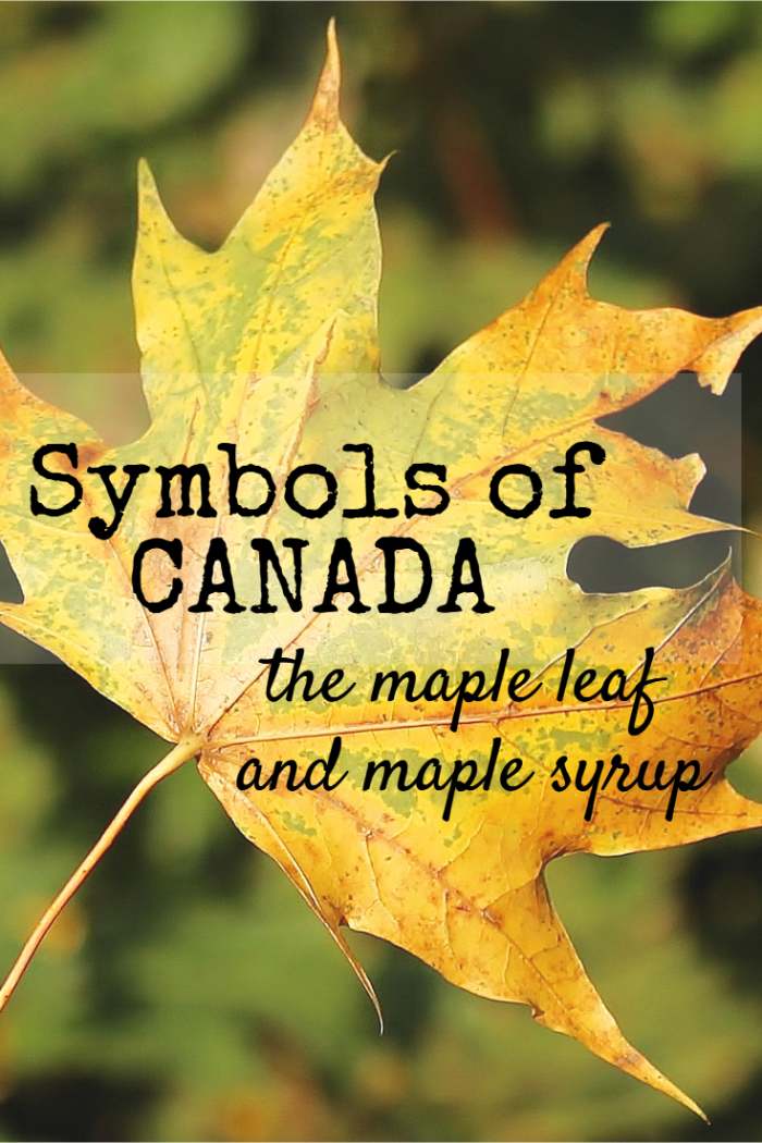 Symbols of Canada The Maple Leaf and Maple Syrup HubPages