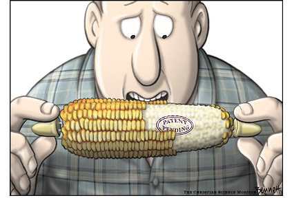 More and more companies now OWN the seeds that they modify, and they sell to other companies and local stores.